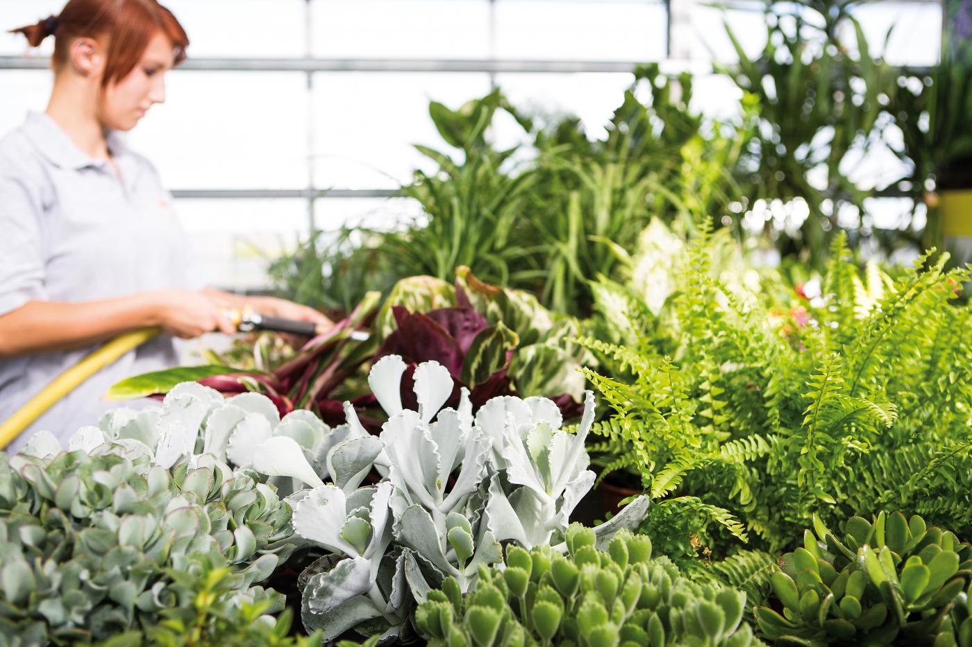 Gartenbauberufsschule Gartenbauberufsschule