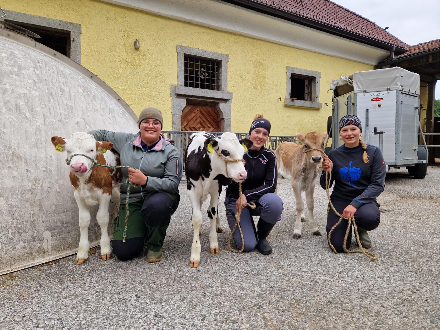 Schülerinnen mit Kälber1 Schülerinnen mit Kälber